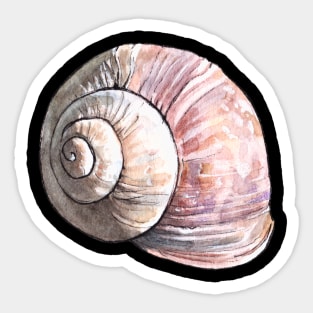 Snail Shell Watercolor Sticker